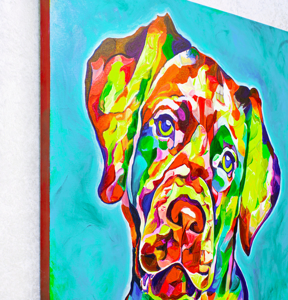 'Do You Love Me', Yellow Labrador portrait