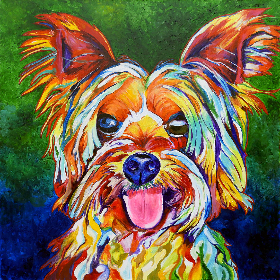 'Rocco', Yorkshire Terrier portrait