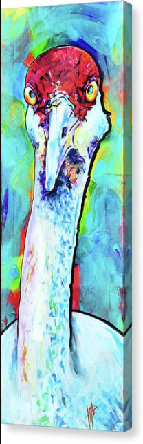 'Sand Hill Crane' art print