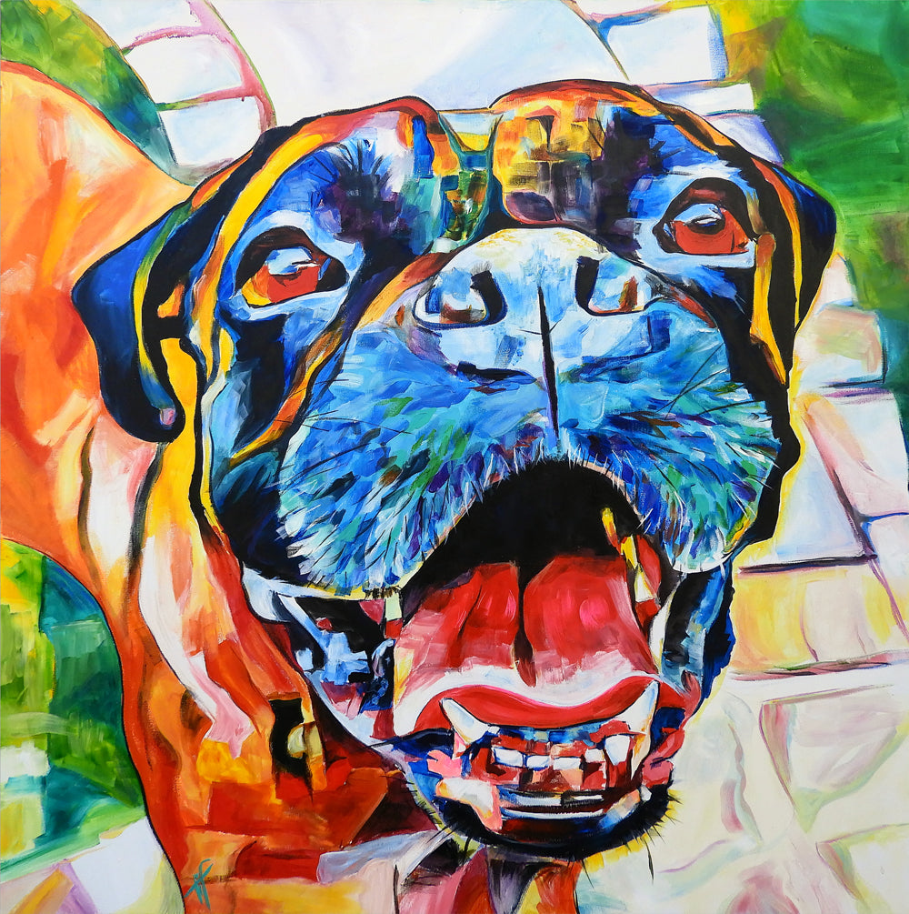 'Smashmouth', Boxer portrait
