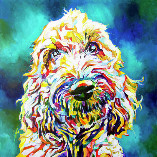 Labradoodle - Wall Art Prints