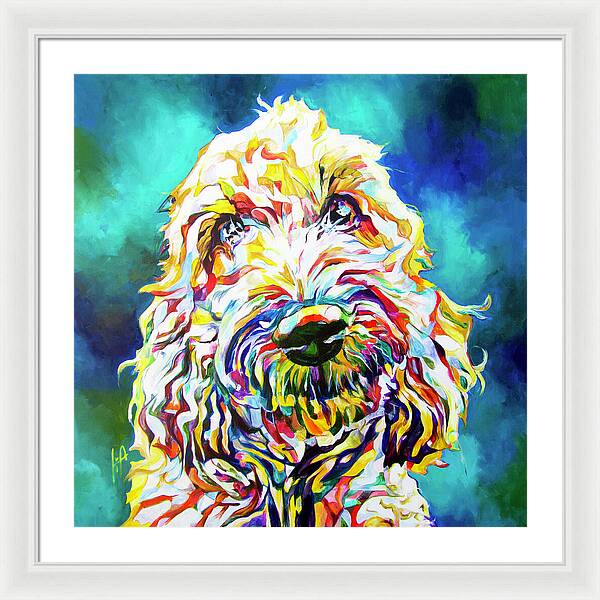 Labradoodle - Wall Art Prints