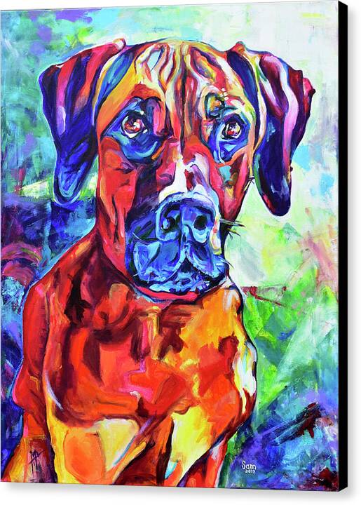 Rhodesian Ridgeback Dog Portrait - Wall Art Prints