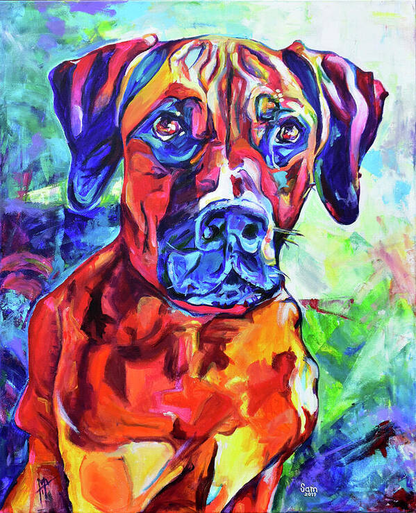 Rhodesian Ridgeback Dog Portrait - Wall Art Prints