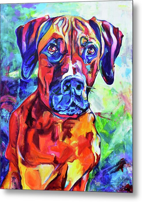 Rhodesian Ridgeback Dog Portrait - Wall Art Prints