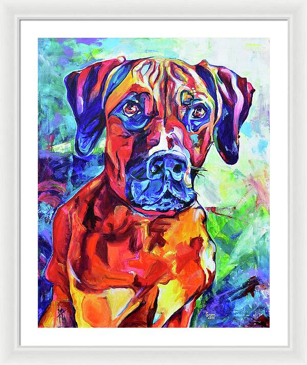 Rhodesian Ridgeback Dog Portrait - Wall Art Prints