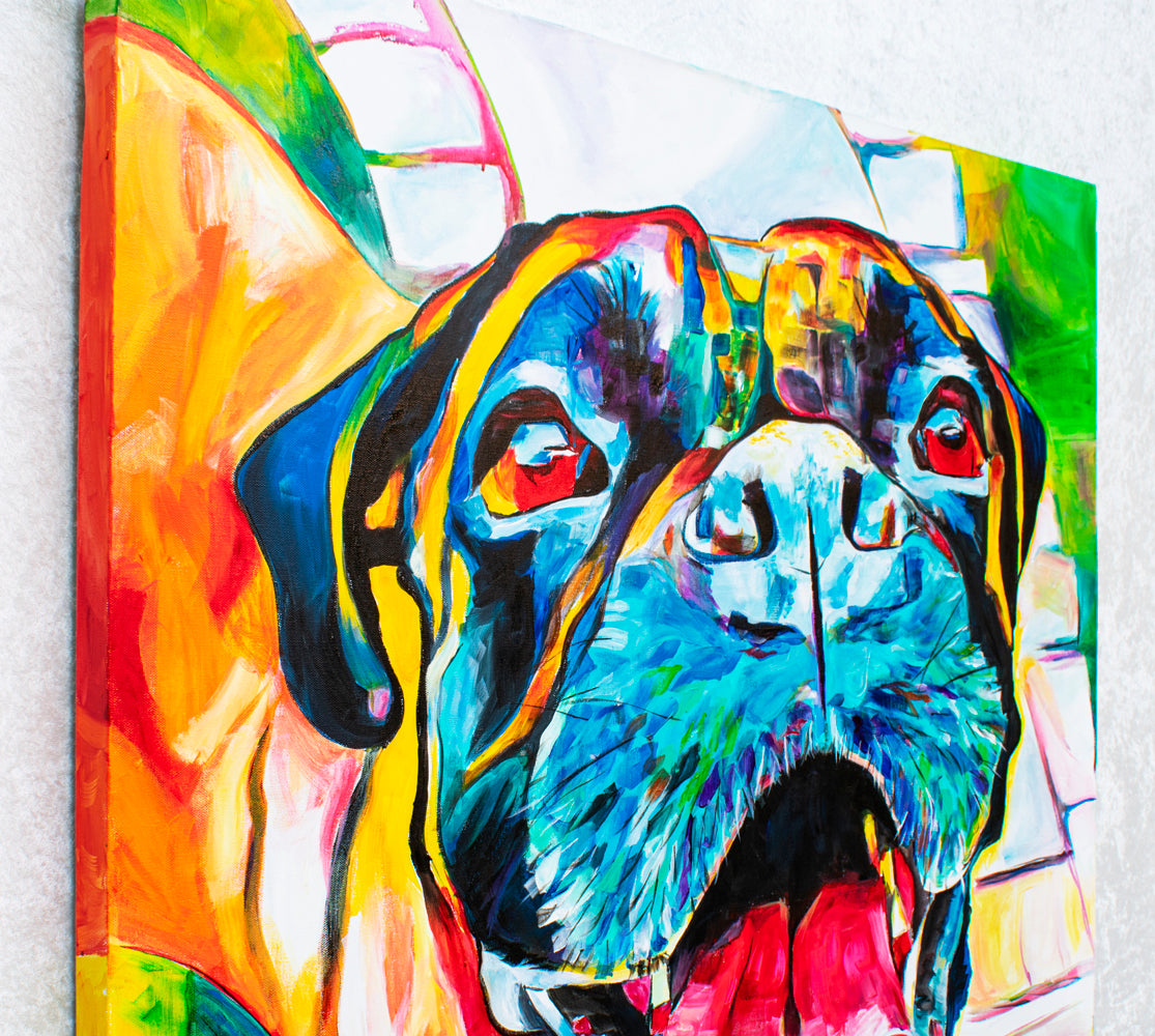 'Smashmouth', Boxer portrait