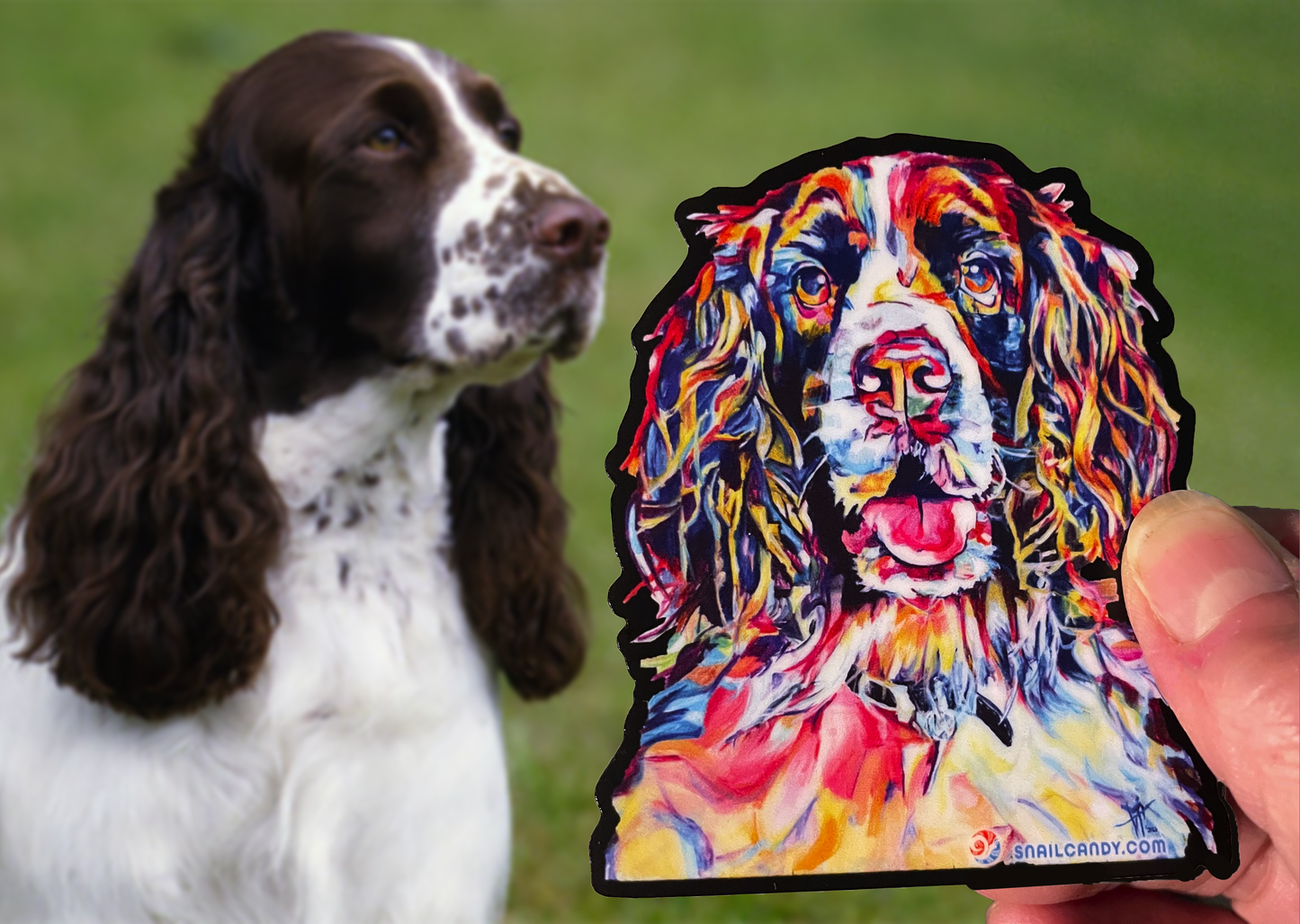 Sticker - Springer Spaniel Dog "Queenie"