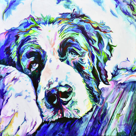 St.Bernard - Wall Art Prints