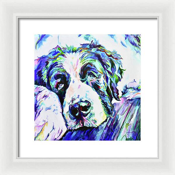 St.Bernard - Wall Art Prints