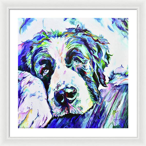 St.Bernard - Wall Art Prints