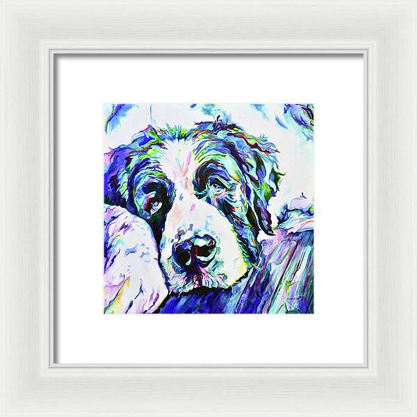 St.Bernard - Wall Art Prints