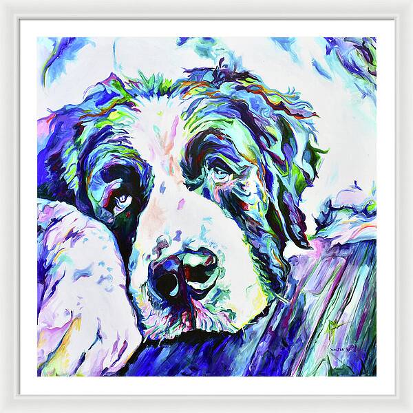 St.Bernard - Wall Art Prints