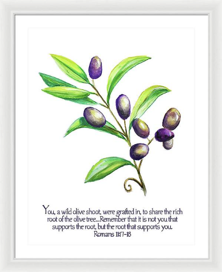 'Wild Olive Shoot' - Wall Art Prints
