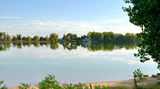 About the Waneka Lake Mural