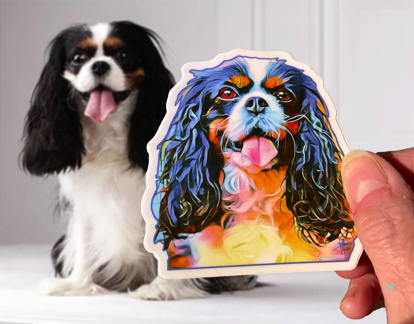 Cavalier King Charles Spaniel dog sticker