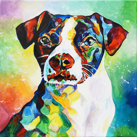 Sammi's Darwin