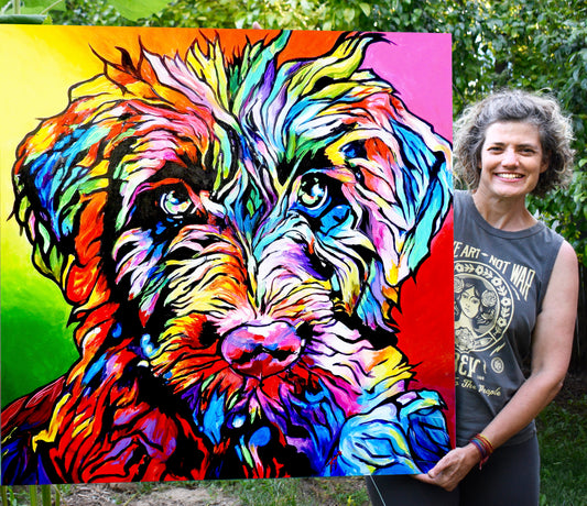 'Grover', Schnauzer portrait