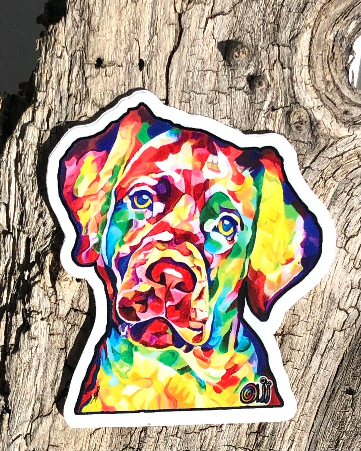 Sticker - Curious Labrador Dog