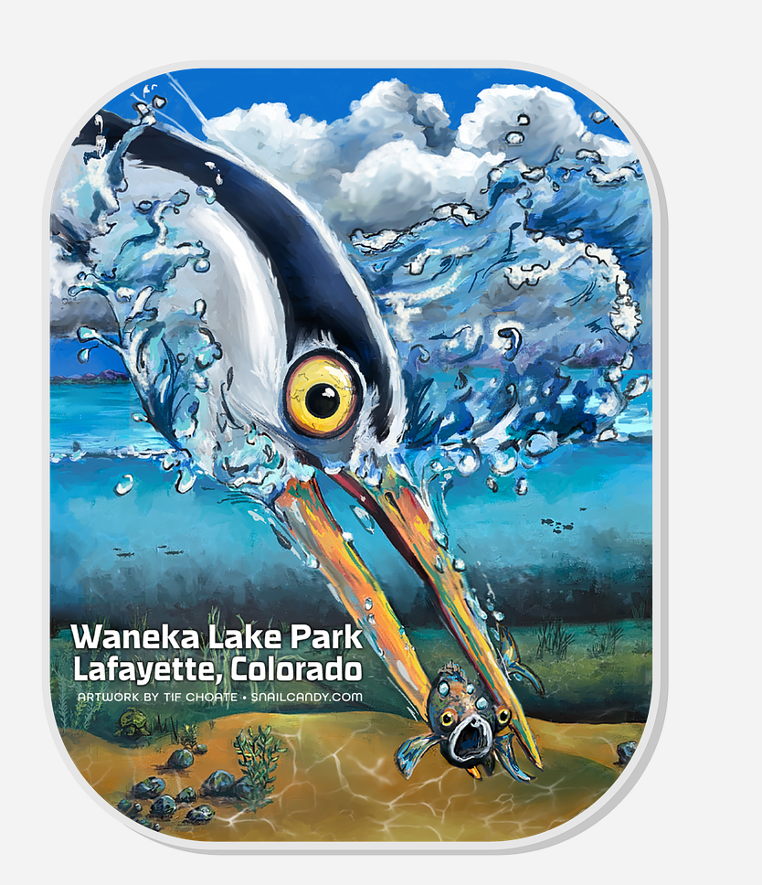 Waneka Lake Collectors Acrylic Magnet - Great Blue Heron